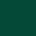 PrimoMossGreen6005