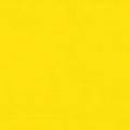 PrimoYellow1021