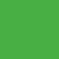 PrimoYellowGreen6018