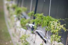 ©Photo: Baltisches Haus