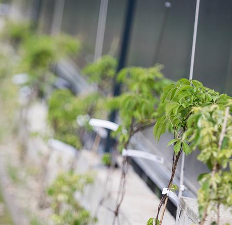 ©Photo: Baltisches Haus