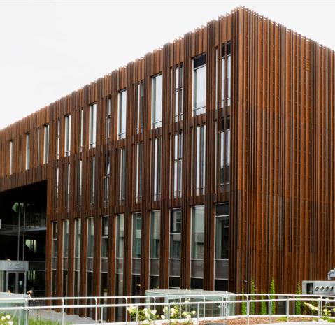 Paupys office building II