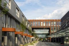 Paupys office building XI