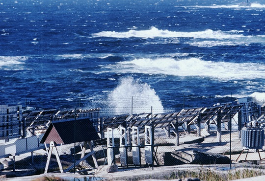 Bohus1