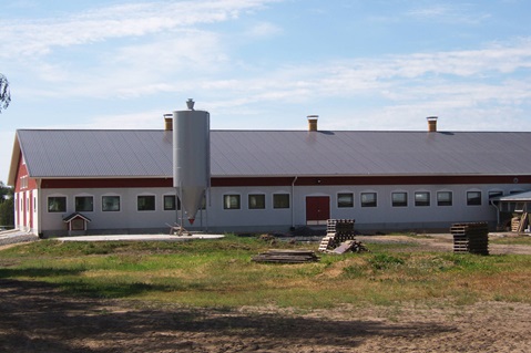 Roofs for agricultural buildings