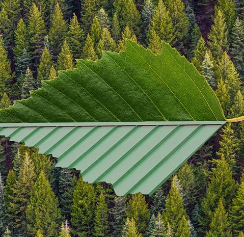 Leaf_Forest