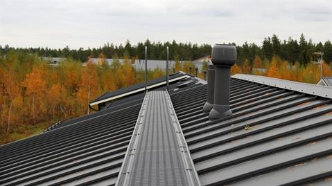Roof-Walkway-Autumn-landscape