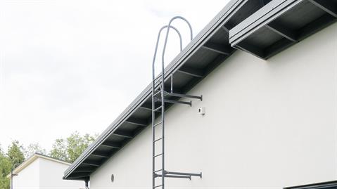 Wall-ladder 1