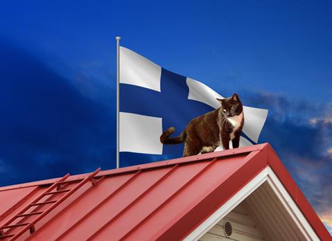kissa_suomi
