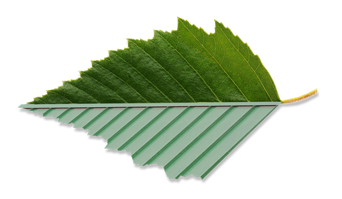 Steel-Roof-Life-Cycle-Leaf_roof_transp