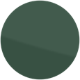 RAL6005 Moss green glass