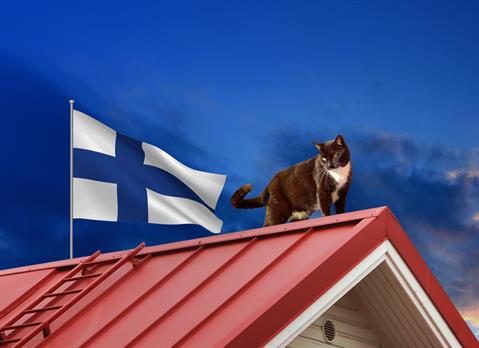 kissa_suomi_